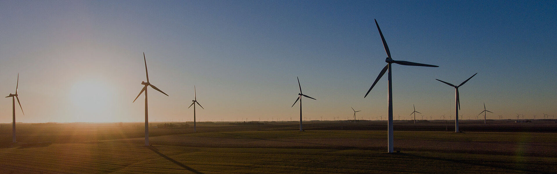 Windräder vor dem Sonnenuntergang