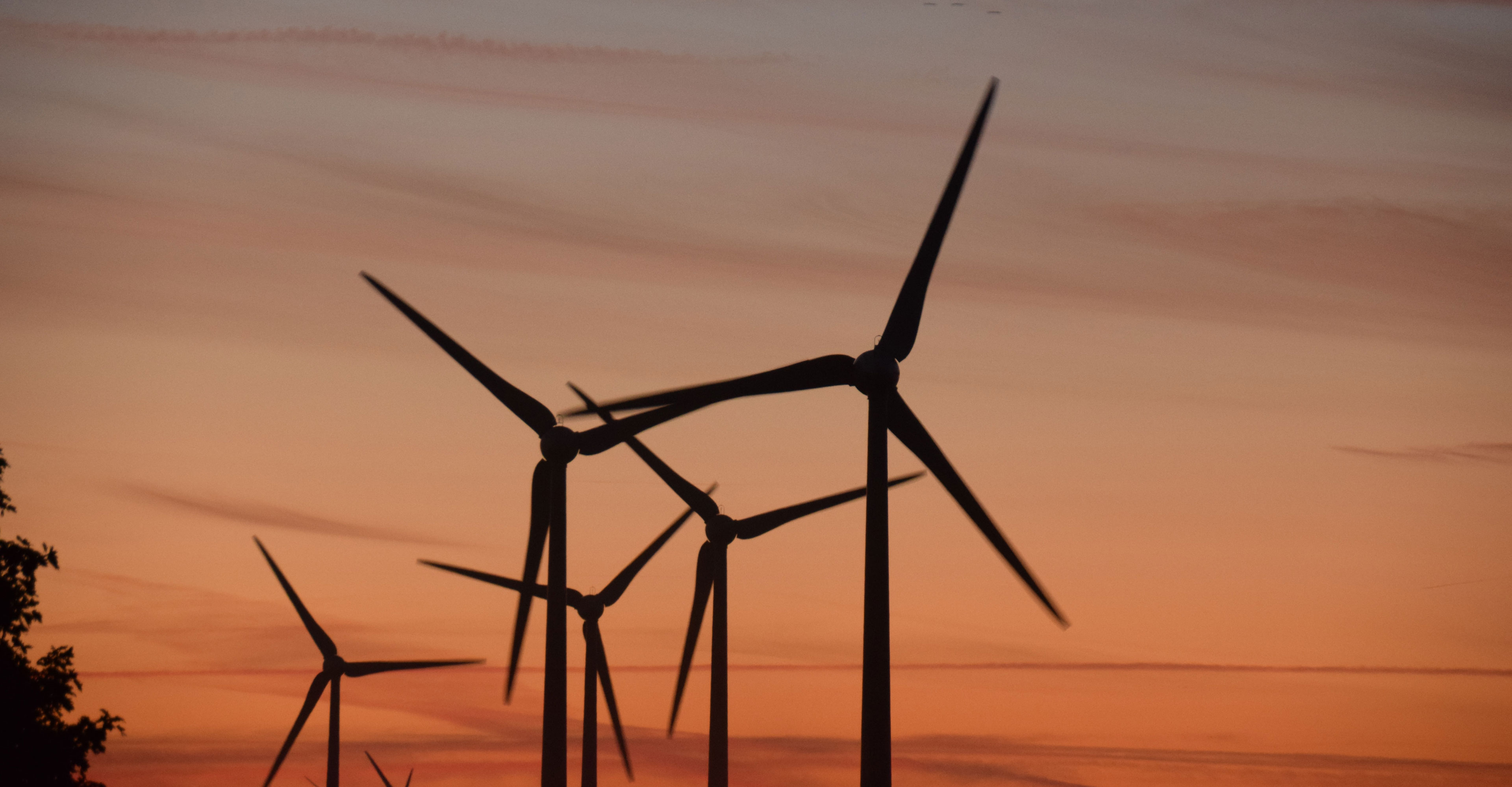 Windräder unter Abendhimmel