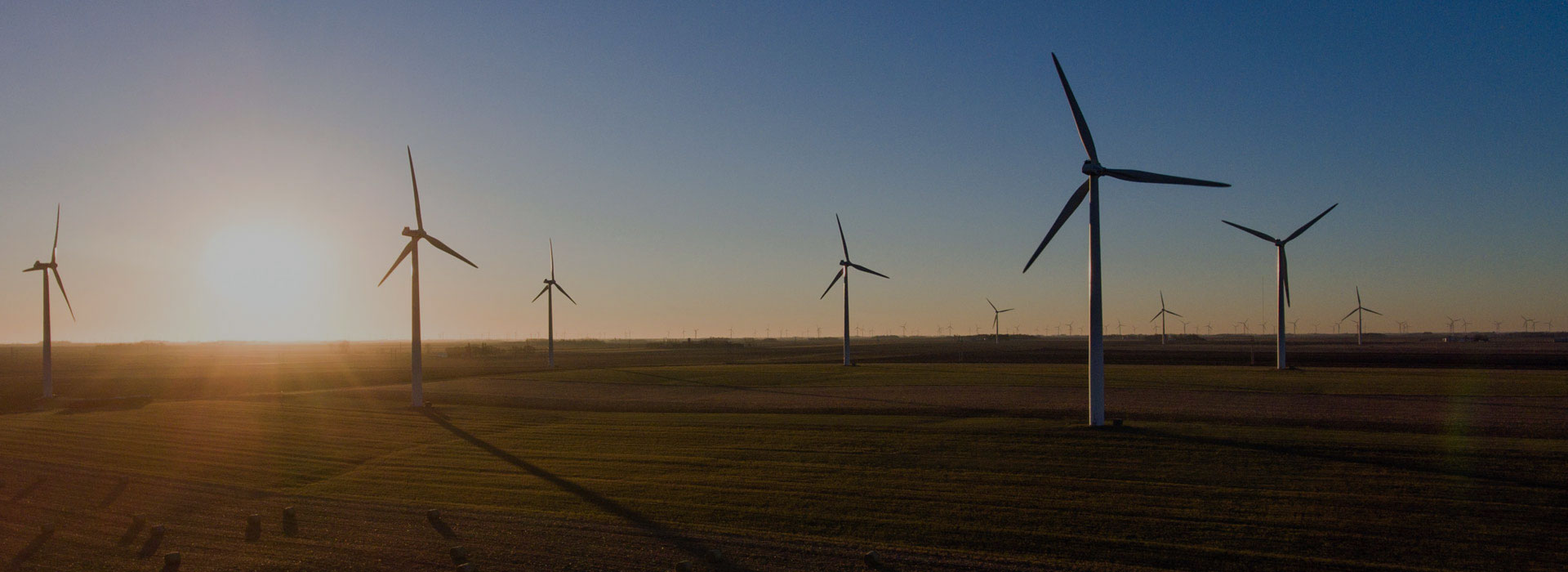 Windräder vor dem Sonnenuntergang